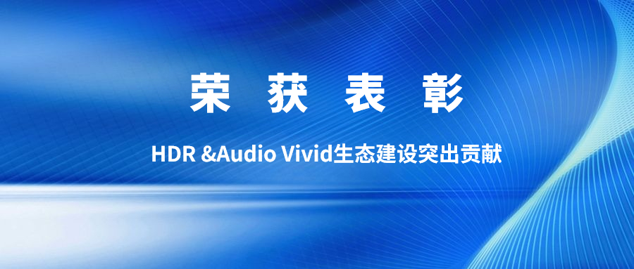 权威认可！南宫28ng科技获双Vivid生态建设突出贡献表彰