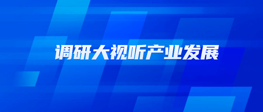 浙江省文化广电和旅游厅党组书记陈广胜一行莅临南宫28ng科技调研